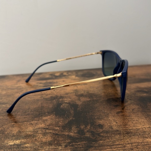 Ray-Ban Navy Blue Frame Black Lens Cat Eye Sunglasses main image 13